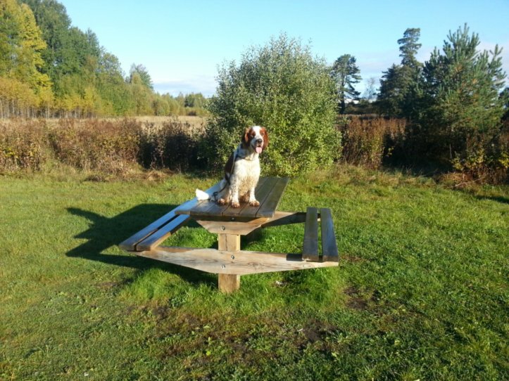 20130928_091505.jpg image