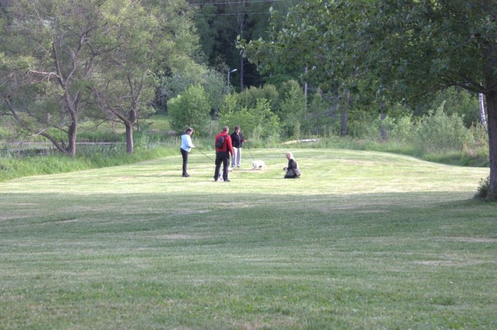 Valpträff Sangold 2016-06-09 03