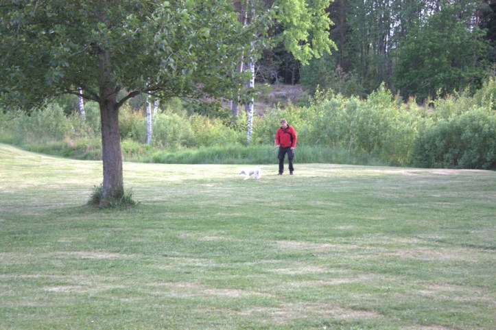 Valpträff Sangold 2016-06-09 04