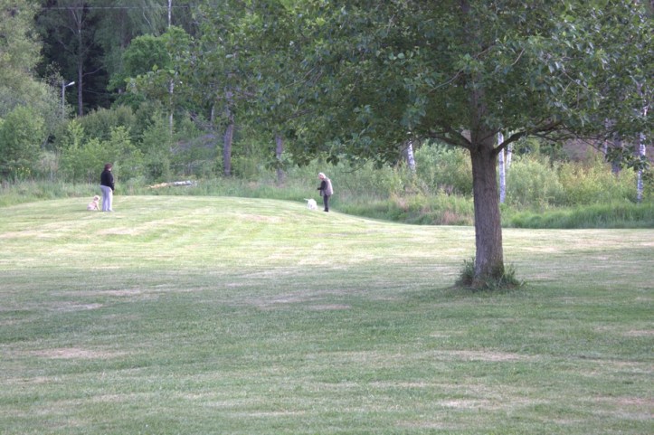 Valpträff Sangold 2016-06-09 05