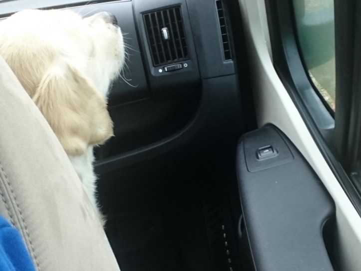 Husbil till Trosa 18.jpg