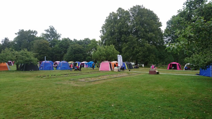 2017-08-13 08.49.35.jpg