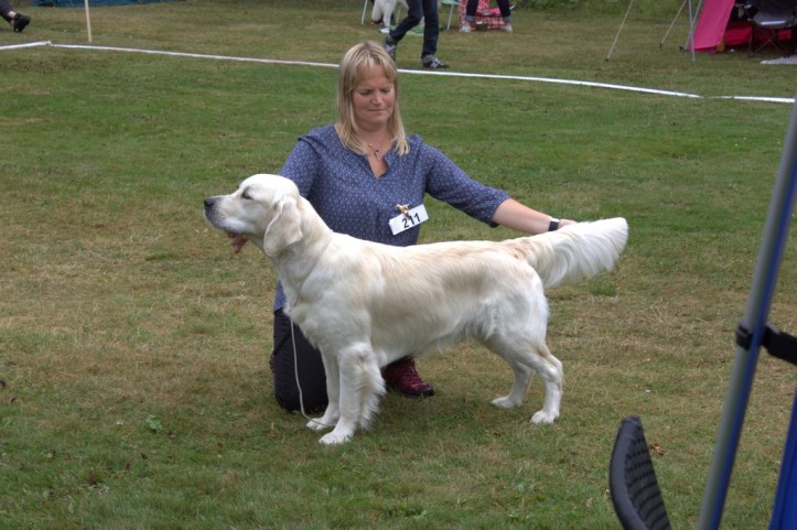 Askersund dag 2 02.jpg