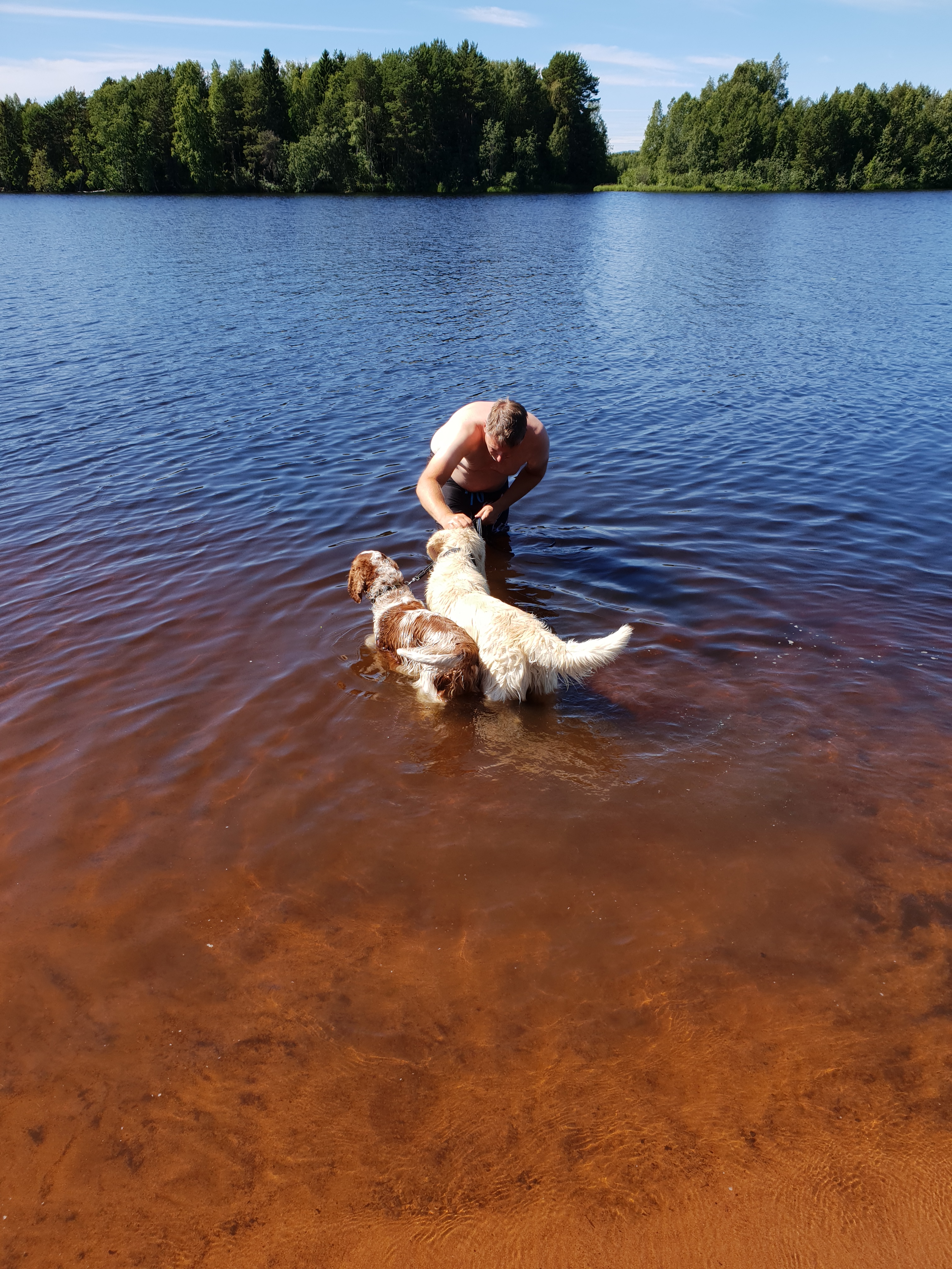 2018-07-08 14.21.48.jpg